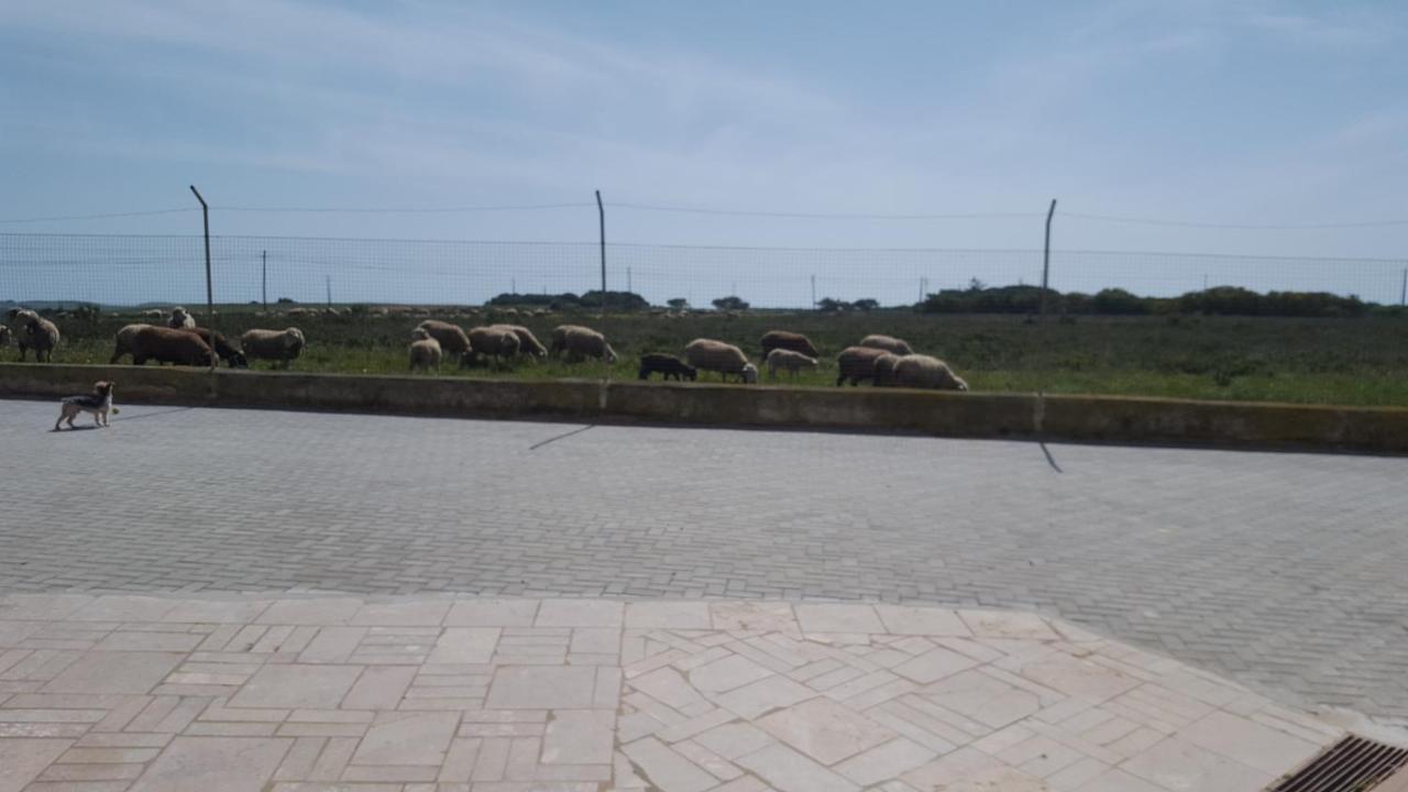 Abrigo Das Nortadas Vila do Bispo Esterno foto